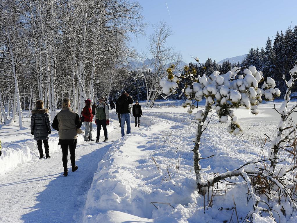 Suedtiroler Stube Lägenhet Seefeld in Tirol Exteriör bild